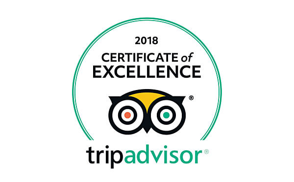TripAdvisor