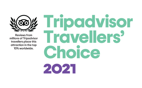 TripAdvisor